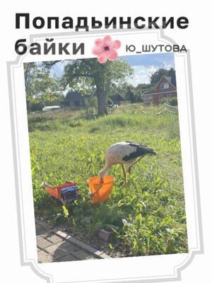 cover image of Попадьинские байки